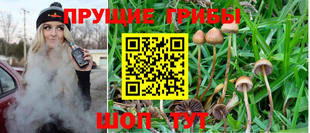 наркота  Галлюциногенные грибы MAGIC MUSHROOMS  Галлюциногенные грибы мицелий  Вход с VPN  Кимовск 